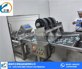 翻轉(zhuǎn)式風(fēng)干機(jī) 正康食品機(jī)械 全自動(dòng)翻轉(zhuǎn)式風(fēng)干機(jī)